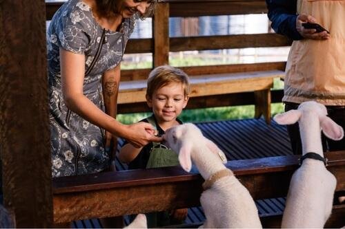 Passeio Caminhos de Pedra