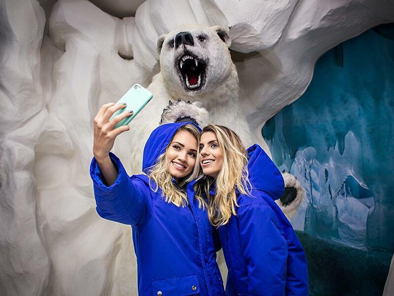 Dreams Park Show: Passaporte 5 atrações