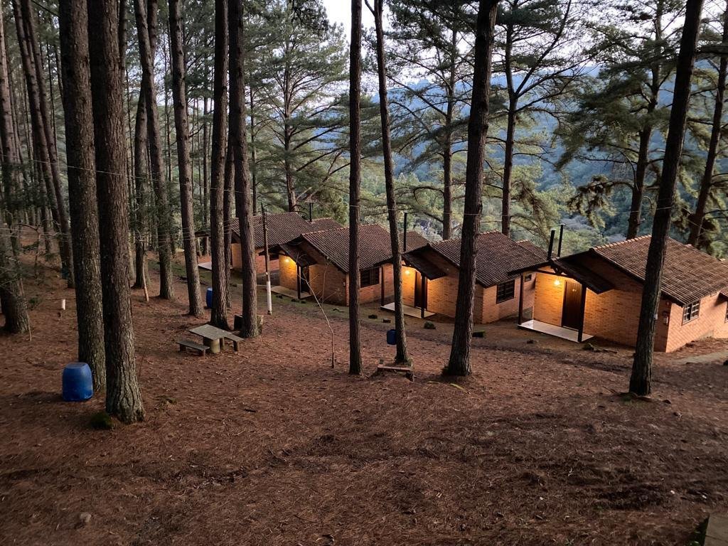 Venha se conectar com a natureza e apreciar as belezas naturais!!! (cópia)