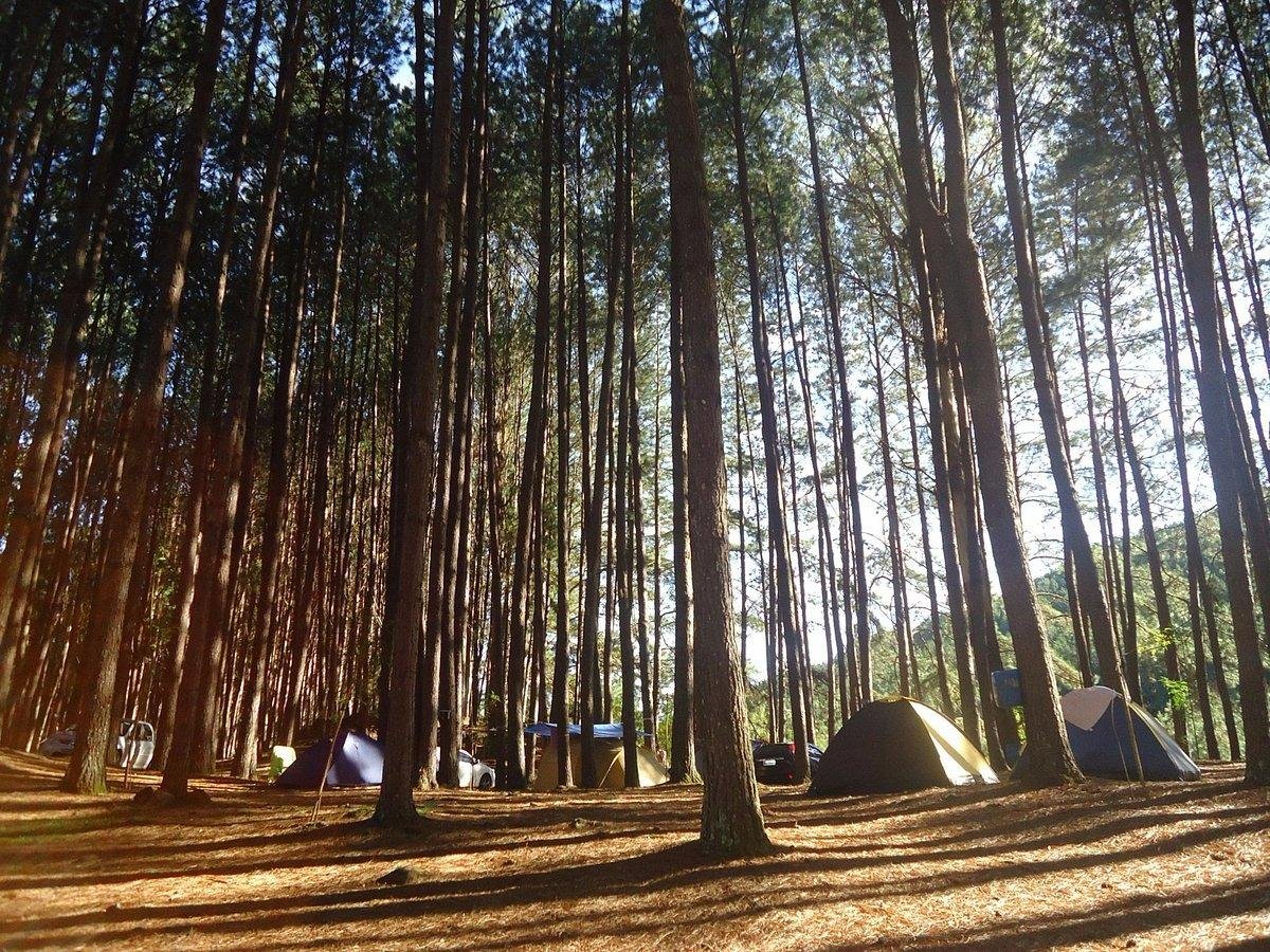 Camping no Parque da Cachoeira!