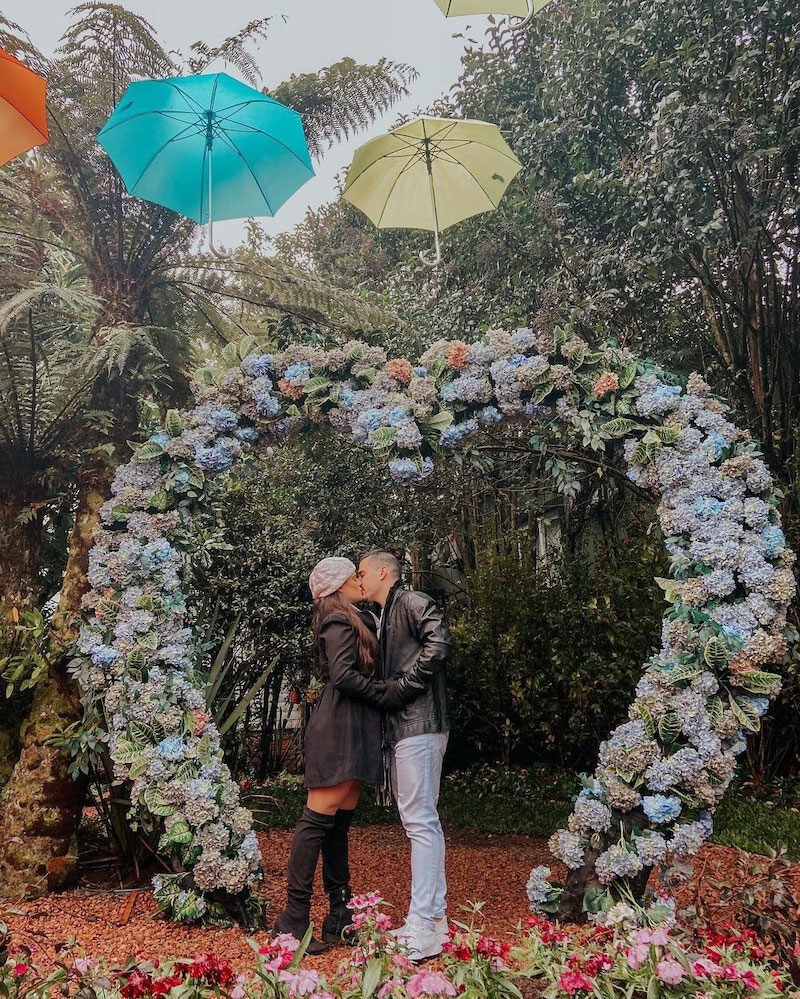 Passaporte Dreams com 8 atrações e Porsche!