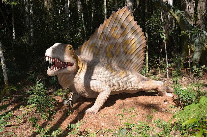 Passaporte Dreams com 8 atrações e Porsche!