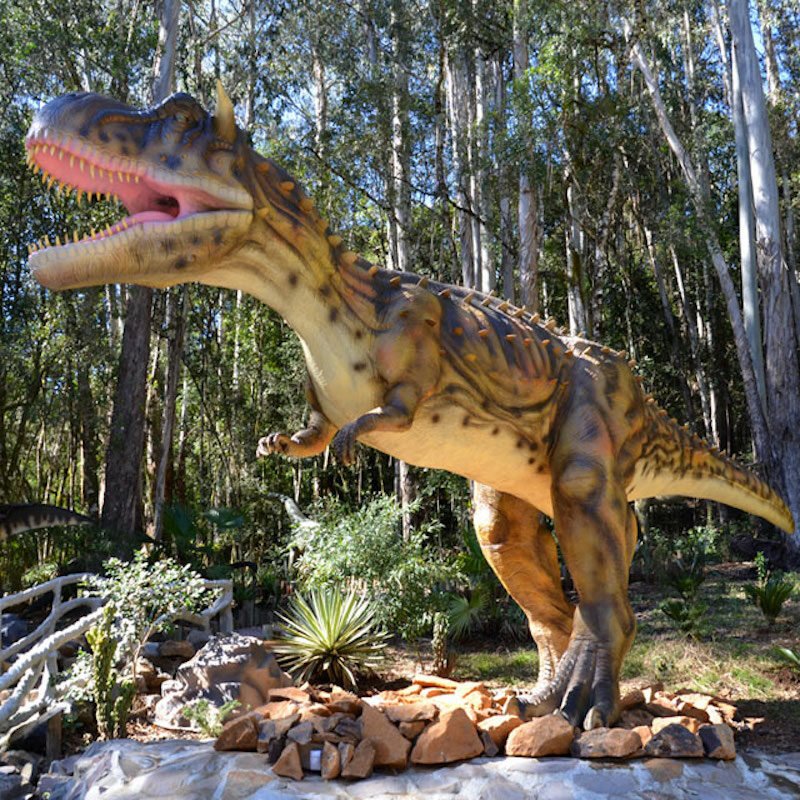 Passaporte Dreams com 8 atrações e Porsche!