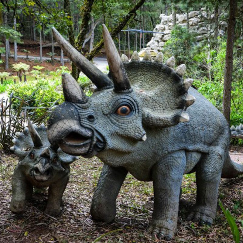 Passaporte Dreams com 8 atrações e Porsche!