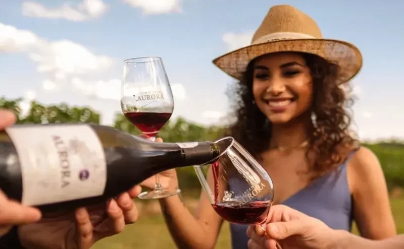 Tour Maria Fumaça: Almoço Italiano, Epopeia e Transporte Incluso para uma Experiência Incrível!!