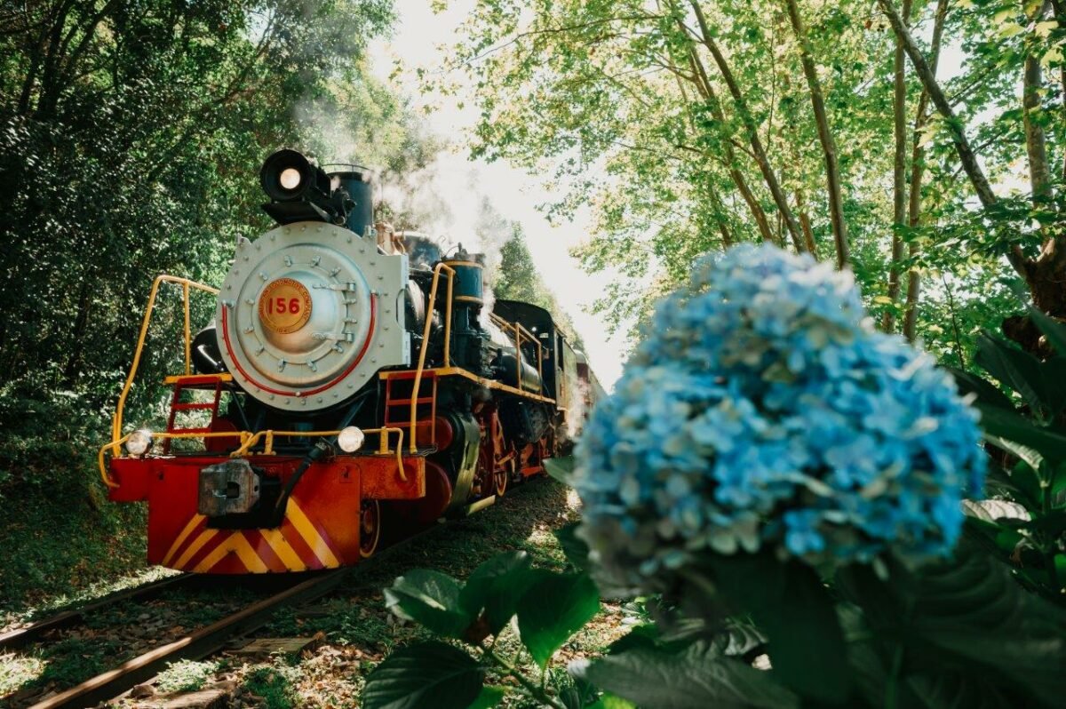 Tour Maria Fumaça Premium, sem paradas comerciais. Com maria fumaça, almoço italiano, epopeia italiana e transporte! (Ajustando)