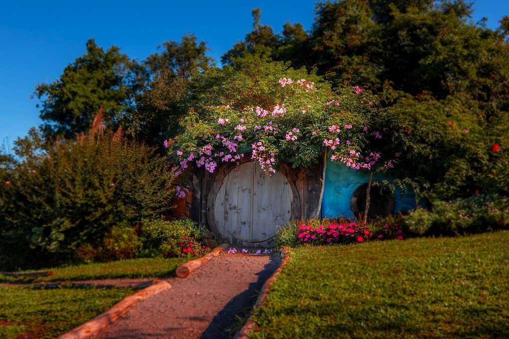 Um paraíso entre pôr do sol e oliveiras
