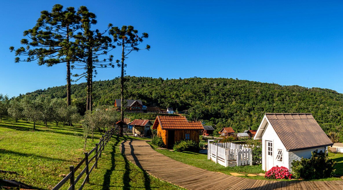 Um paraíso entre pôr do sol e oliveiras