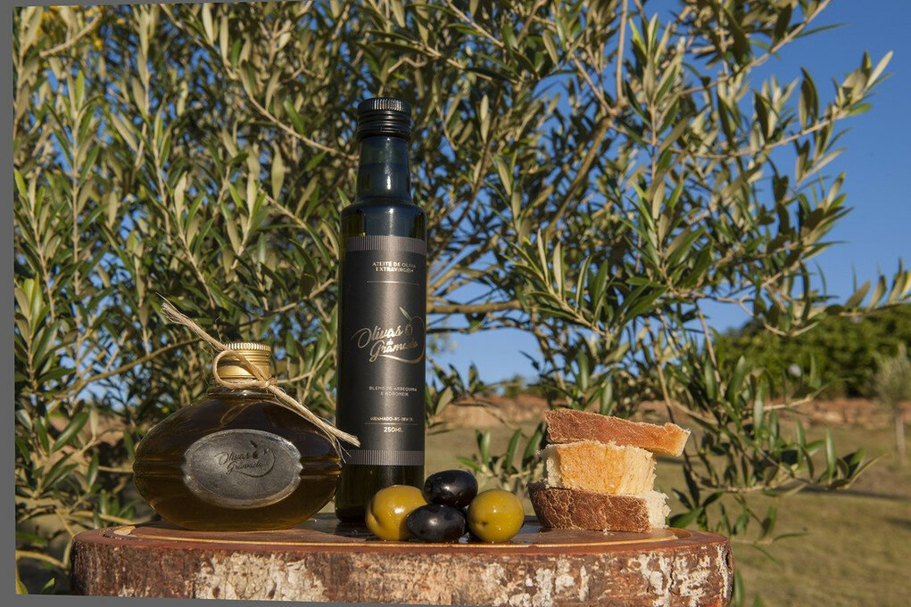 Um paraíso entre pôr do sol e oliveiras