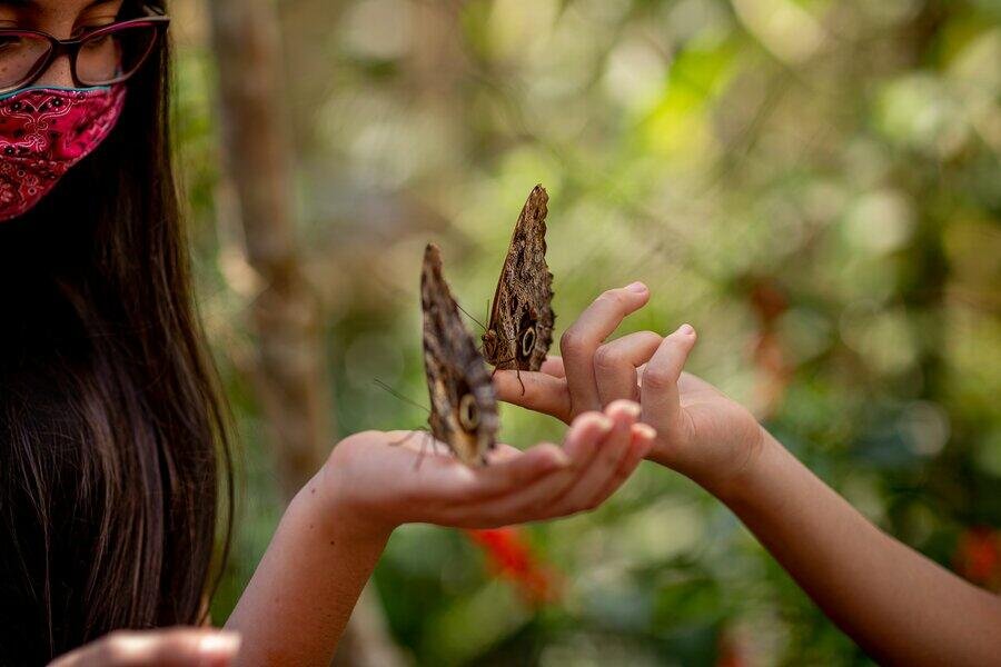 O maior parque de aves da América latina! O único do mundo focado em salvar espécies da mata atlântica.