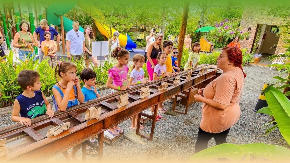 Parque Terra Atlântica - Explore o Maior Playground da Região, repleto de atrações emocionantes como escorregadores radicais de até 10 metros.