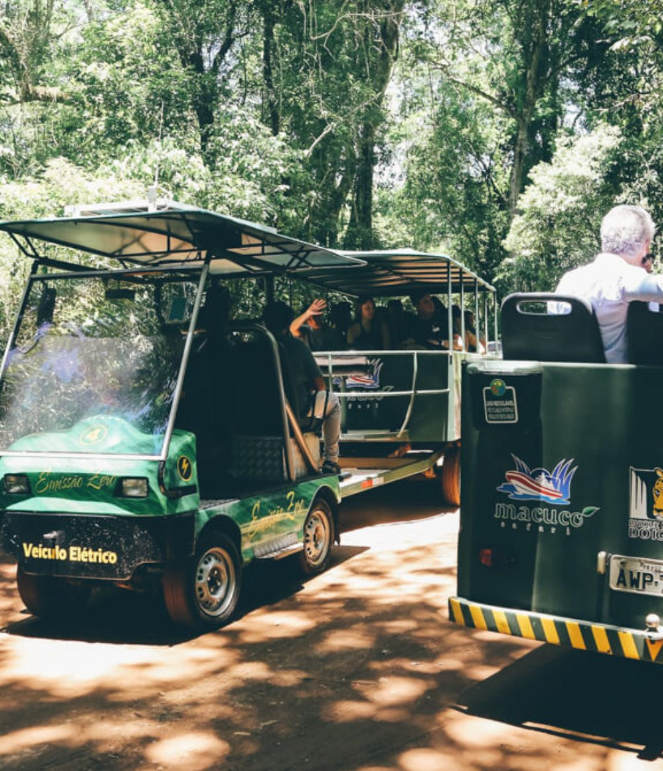 Macuco Safari: Aventura na Selva e no Barco em Foz do Iguaçu – Viva a Experiência Incrível!