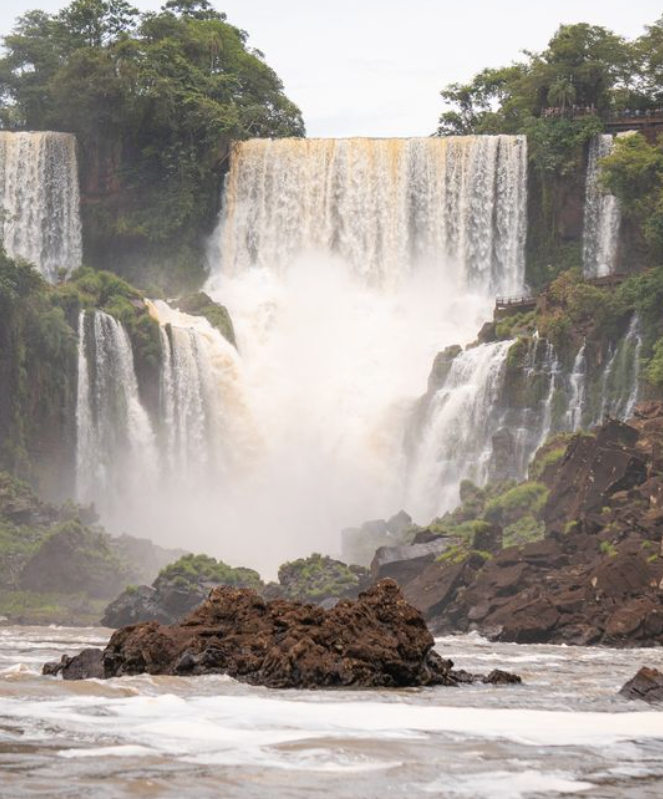 Macuco Safari: Aventura na Selva e no Barco em Foz do Iguaçu – Viva a Experiência Incrível!