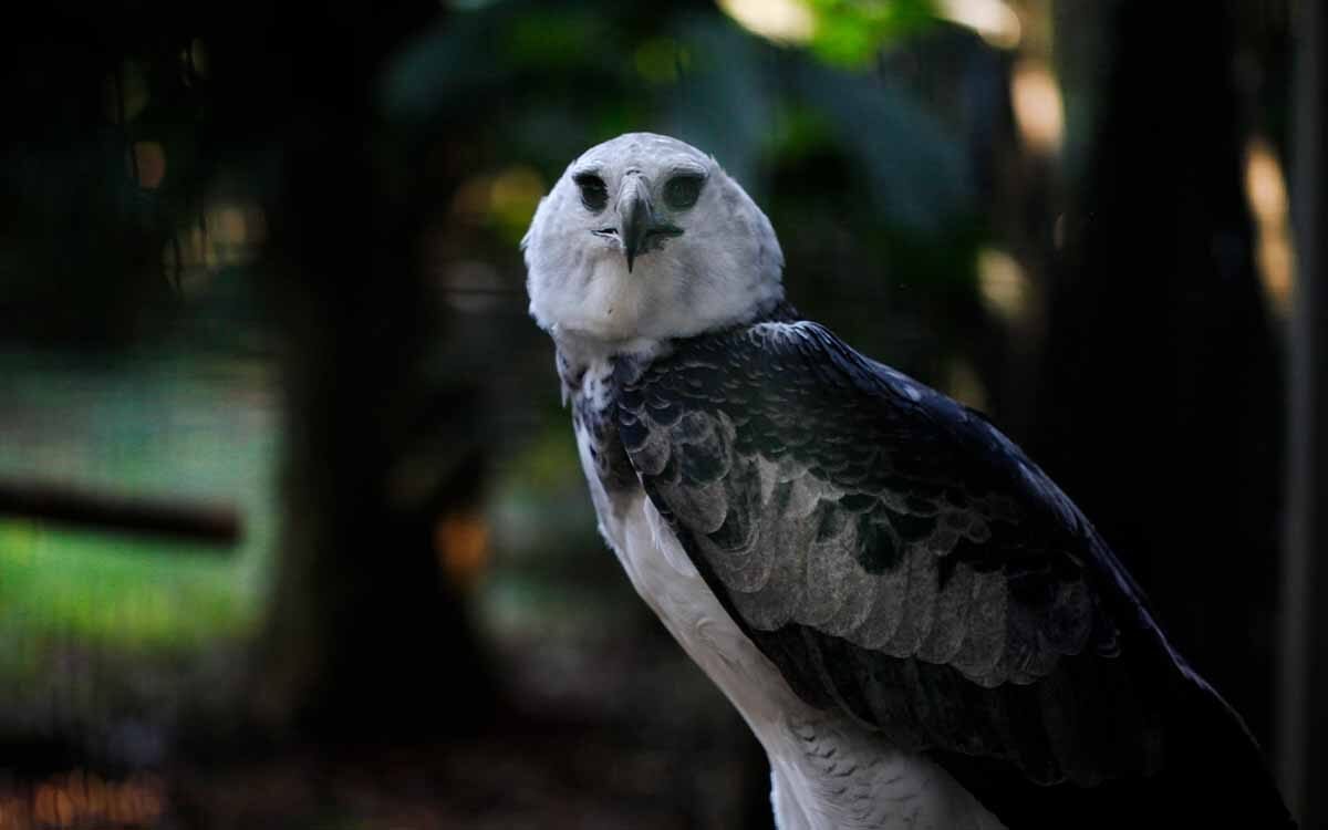 Ingresso para o refúgio biológico da Itaipu binacional.