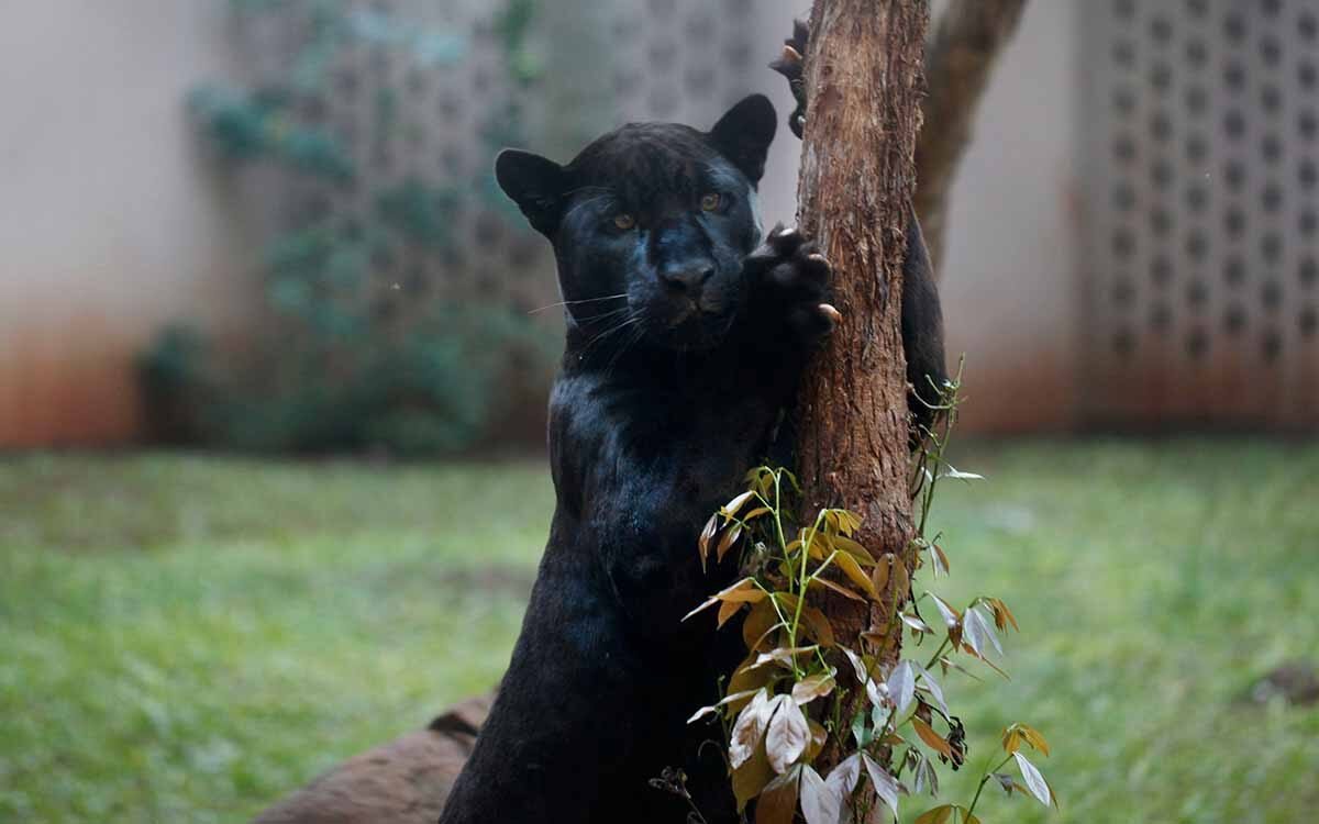 Ingresso para o refúgio biológico da Itaipu binacional.