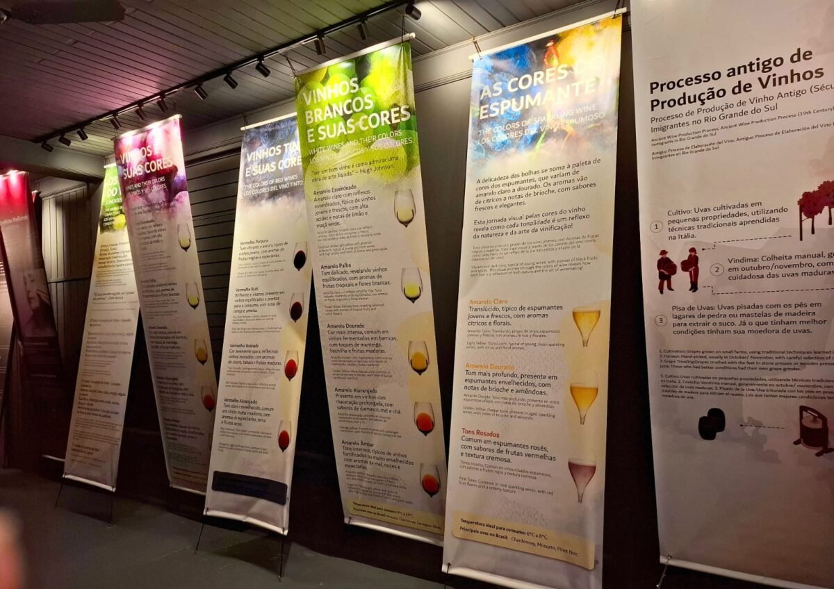 Ingresso para o Museu do Vinho! Uma imersão sensorial na cultura viticultura em Gramado!