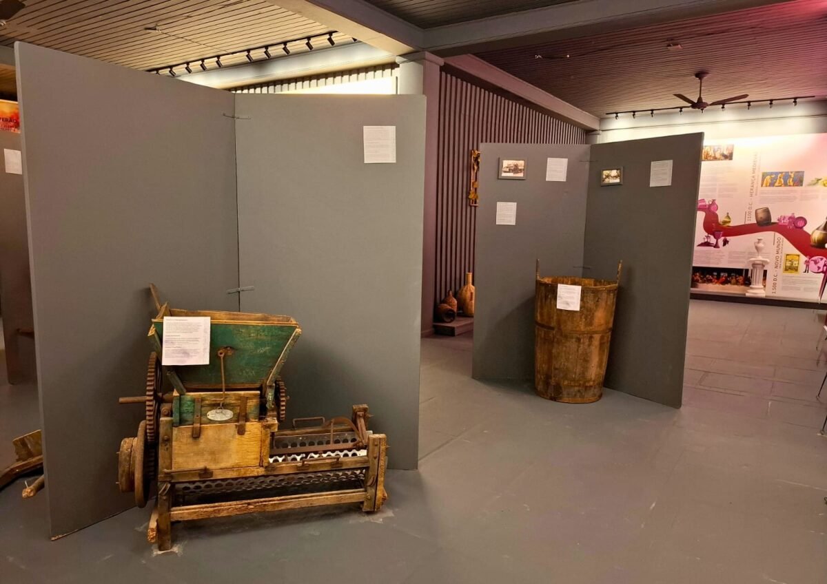 Ingresso para o Museu do Vinho! Uma imersão sensorial na cultura viticultura em Gramado!