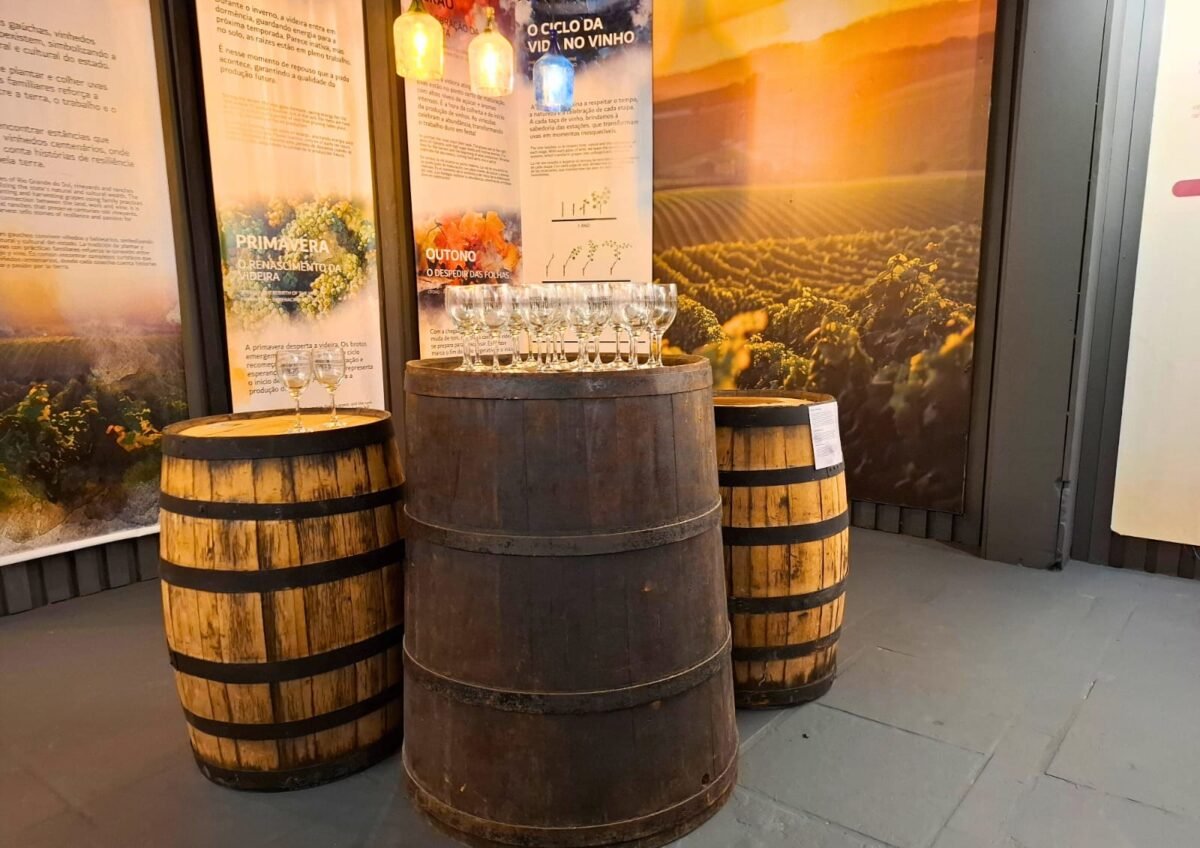 Ingresso para o Museu do Vinho! Uma imersão sensorial na cultura viticultura em Gramado!