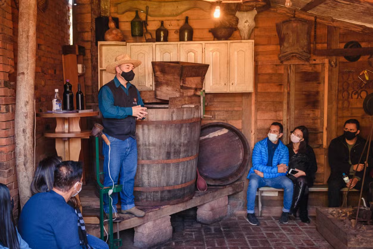 Linha Ávila: Sabores & Tradições do Interior de Gramado!