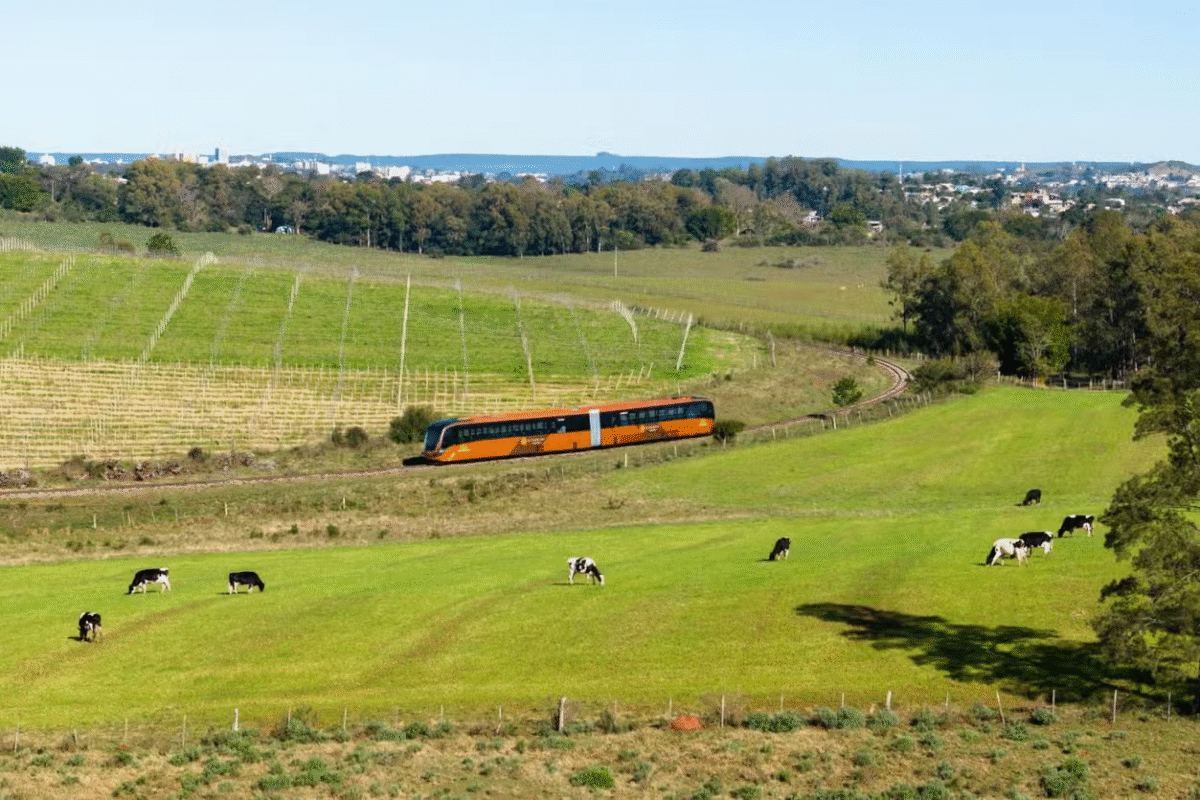 Sabores & Trilhos: Um Brinde ao Pampa no Trem do Vinho!