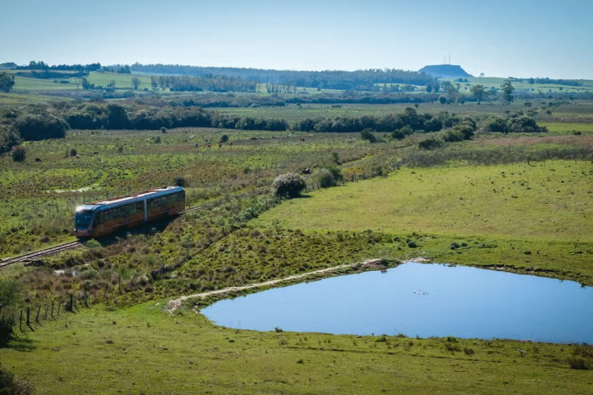Sabores & Trilhos: Um Brinde ao Pampa no Trem do Vinho!