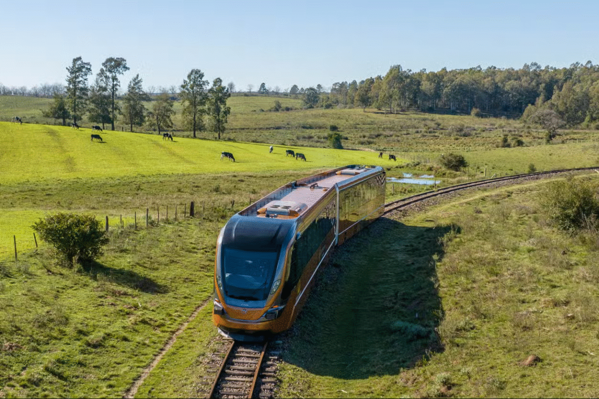 Sabores & Trilhos: Um Brinde ao Pampa no Trem do Vinho!