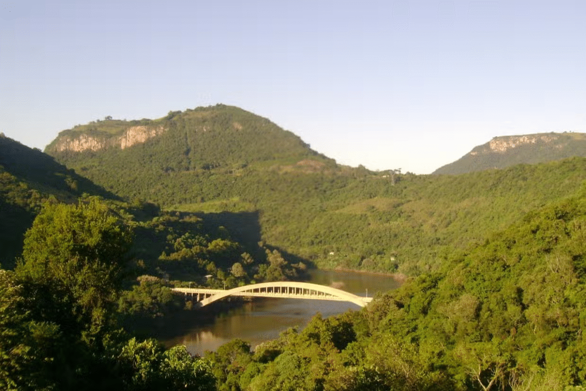 Entre Vinhedos e Montanhas: Explore o Vale do Rio das Antas com Degustações Incríveis!