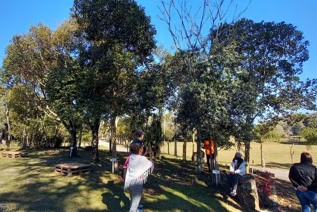 Faria Lemos: Vinhos, História e um Pôr do Sol Inesquecível!