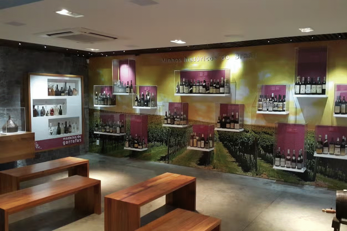 Faria Lemos: Vinhos, História e um Pôr do Sol Inesquecível!