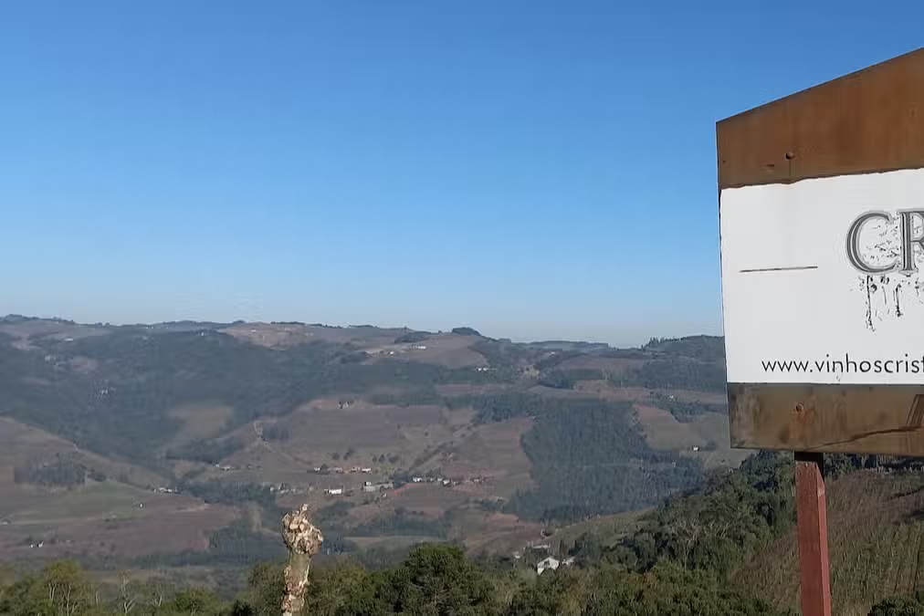 Faria Lemos: Vinhos, História e um Pôr do Sol Inesquecível!