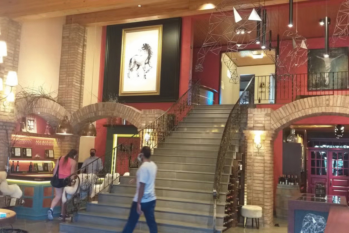 Da Videira ao Cálice: Tour do Vinho em Caxias do Sul e Flores da Cunha!