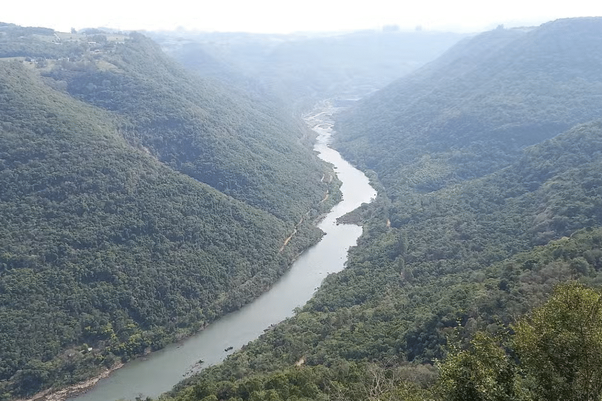 Da Videira ao Cálice: Tour do Vinho em Caxias do Sul e Flores da Cunha!