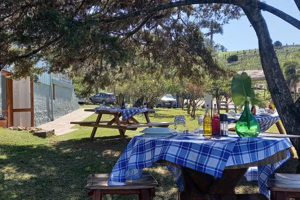 Garibaldi: Vinhos Coloniais e Tradição Italiana no Vale dos Vinhedos!