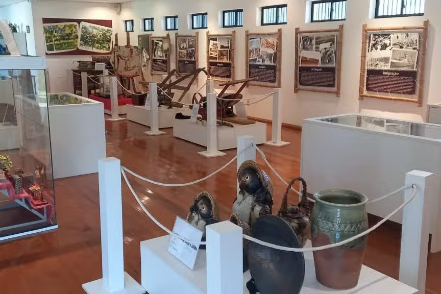 Rota Romântica: Lavandas, Mosaicos e Cultura Germânica e Japonesa