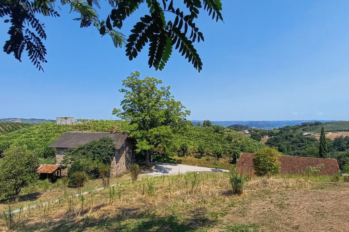 Vale Trentino: Vinhos, Paisagens e Sabores na Serra Gaúcha!