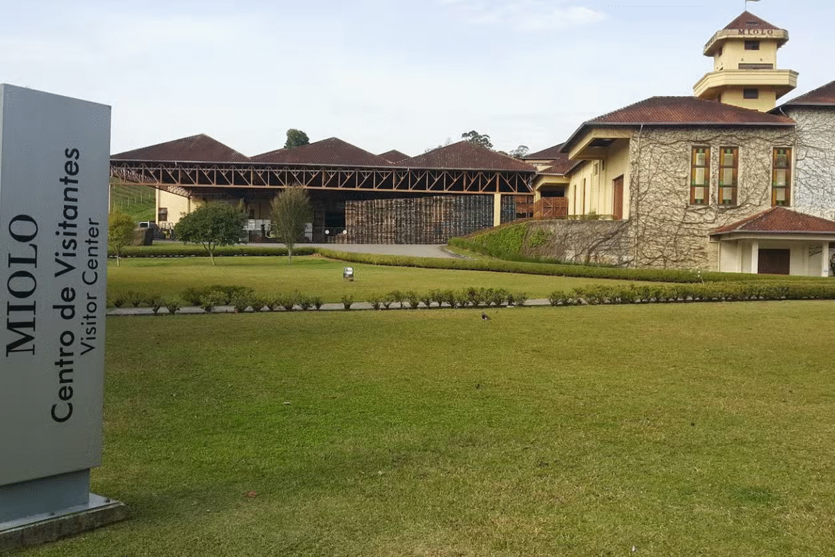 Tour dos Vinhos: Um Dia no Encanto do Vale dos Vinhedos!