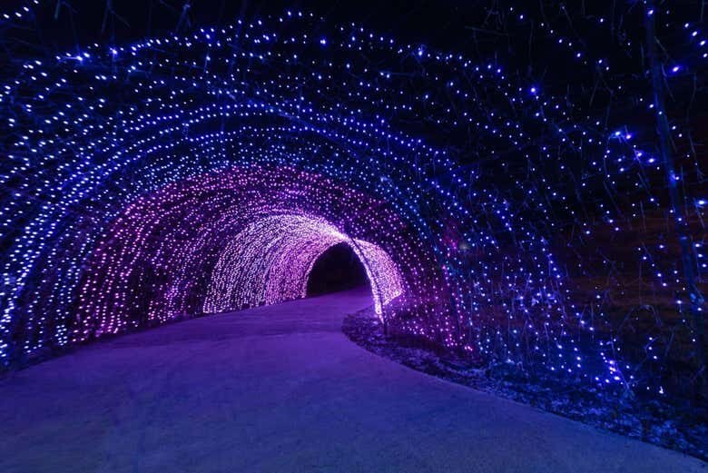 Uma imersão de luz e sensações no Lumni Experience Gramado!