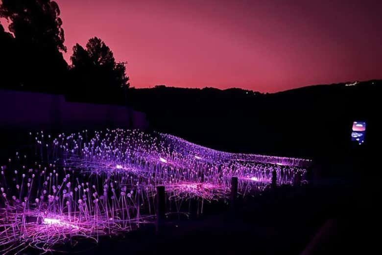 Uma imersão de luz e sensações no Lumni Experience Gramado!