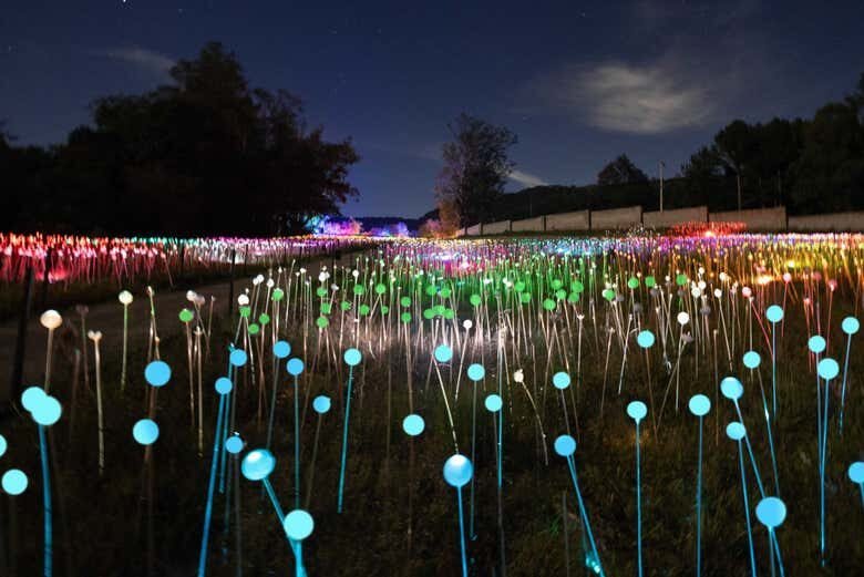 Uma imersão de luz e sensações no Lumni Experience Gramado!