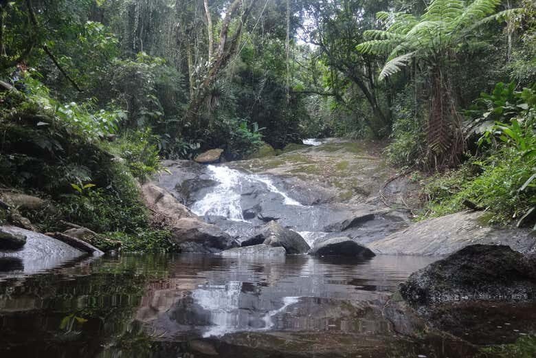 Explore as Belezas Naturais da Serra da Cantareira – Imperdível Trilha de Aventura Próxima a São Paulo!