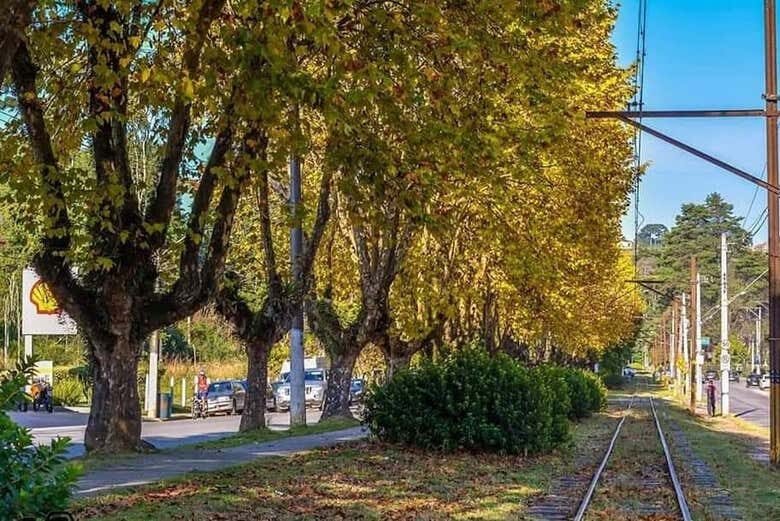 Tour Panorâmico por Campos do Jordão: Descubra o Encanto Europeu Paulista!