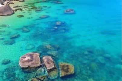 Explore as Ilhas Couves e Prumirim em um Incrível Passeio de Escuna!