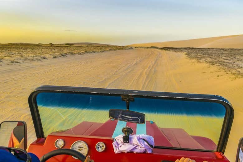 Rota Leste Encantada: Árvore da Preguiça + Lagoa do Paraíso em Jeri!