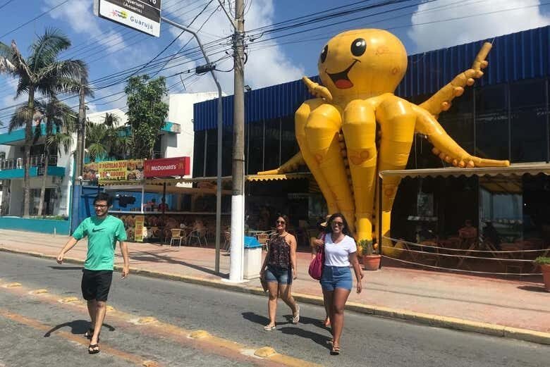 Exploração Privada às Deslumbrantes Praias do Guarujá!