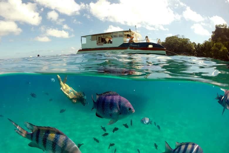 Passeio de Barco e Snorkel na Paradisíaca Baía do Sancho!