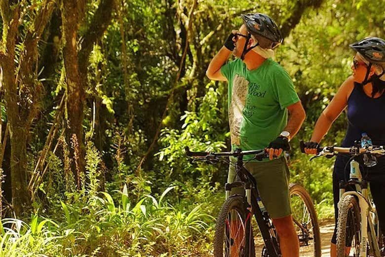 Explore a Serra da Mantiqueira de Bicicleta: Tour Imperdível em Monte Verde!