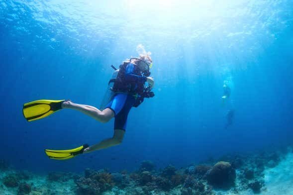 Aventura Submarina na Baía de Todos-os-Santos: Explore Tesouros Submersos!