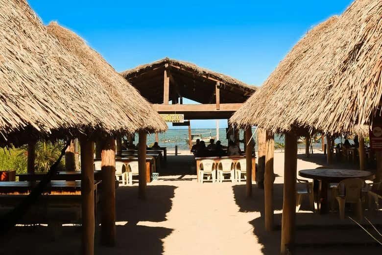 Excursão à Praia de São José da Coroa Grande: Paraíso e Aventura na Costa Brasileira!