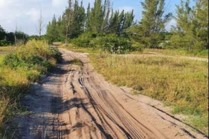 Aventura de Buggy em Arubinha: Explore a Natureza de Arraial do Cabo!