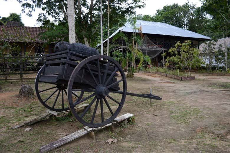 Descubra a História da Borracha em um Fascinante Tour pelo Museu do Seringal!